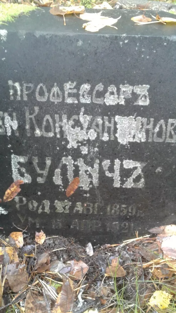 Grave in the forest - My, , Forest, Grave, Leningrad region, Longpost, Burial