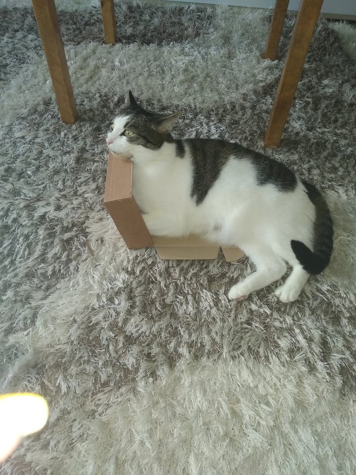 ������� ������.