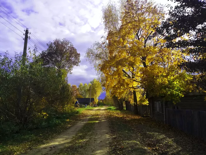 House overlooking the garden - My, House, Village, Autumn, Foliage, Garden, Memory, Russia, Road, Longpost