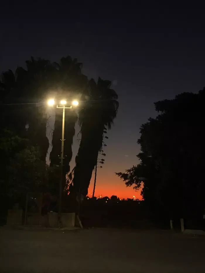 Photo from the gas station - My, Sunrise, Palm trees