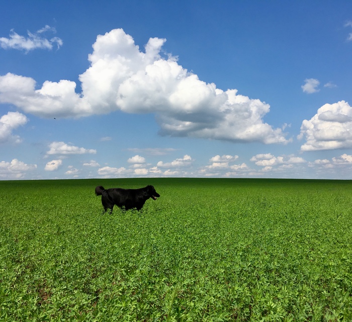 4 месяца назад