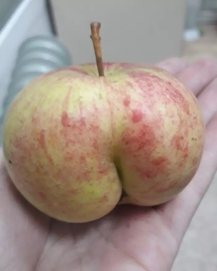 apple butt - My, Apples, Humor, Forms, Longpost