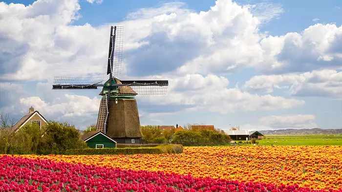 The Netherlands will stop calling itself Holland - Holland, Netherlands, Renaming, Netherlands (Holland)