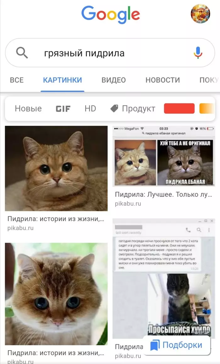 Гугл поражает своими запросами) - Моё, Кот, Google