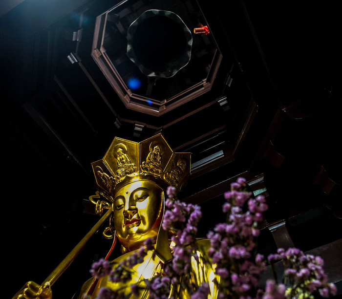 ������ � ���������