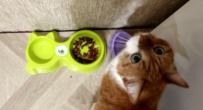 �������� ��������