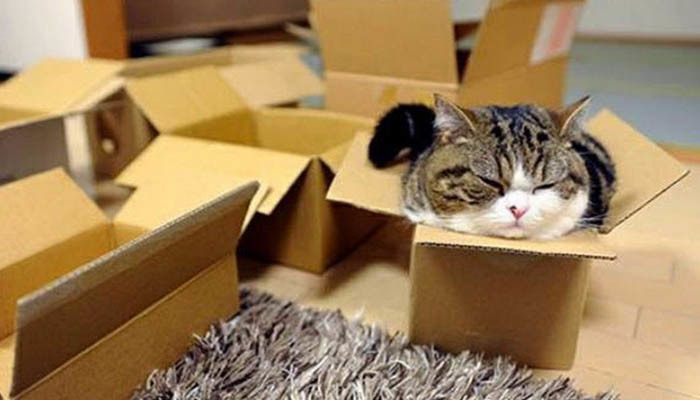 ���������� �����