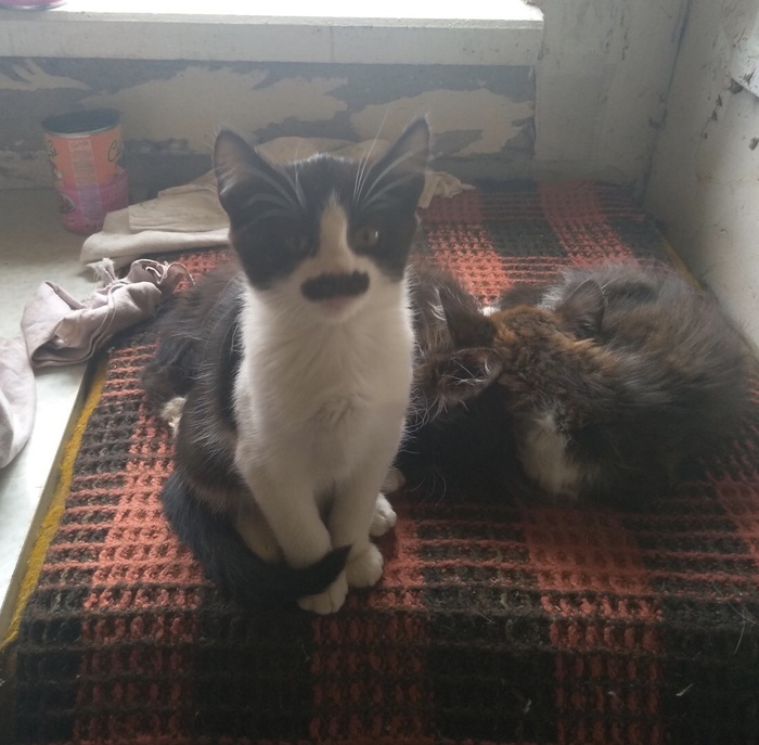 ����� � ������ ���� ���