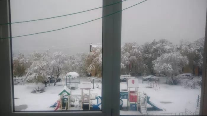 Misha - Kamchatka, Bear, Vertical video, Snow, Video, Longpost, The Bears
