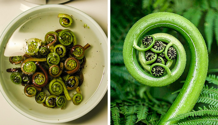 Необычные продукты о которых вы могли и не знать Продукты, Необычная еда, Познавательно, Экзотическая еда, Длиннопост Необычные продукты о которых вы могли и не знать Продукты, Необычная еда, Познавательно, Экзотическая еда, Длиннопост