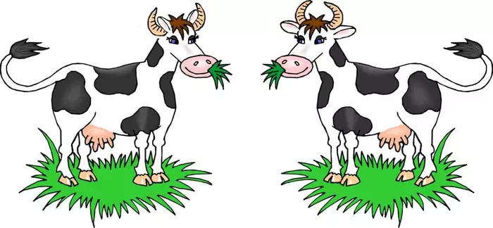 How is it correct? - My, Cow, Vector, Vector graphics, Squint, Necessary