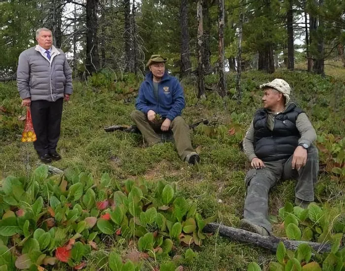 Somewhere in the taiga - Vladimir Putin, Sergei Shoigu, Igor Sechin, Photoshop