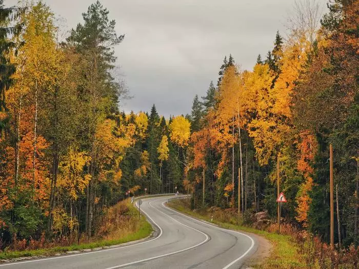 Road through autumn - My, The photo, Landscape, Autumn, Long exposure, Olympus, Leningrad region