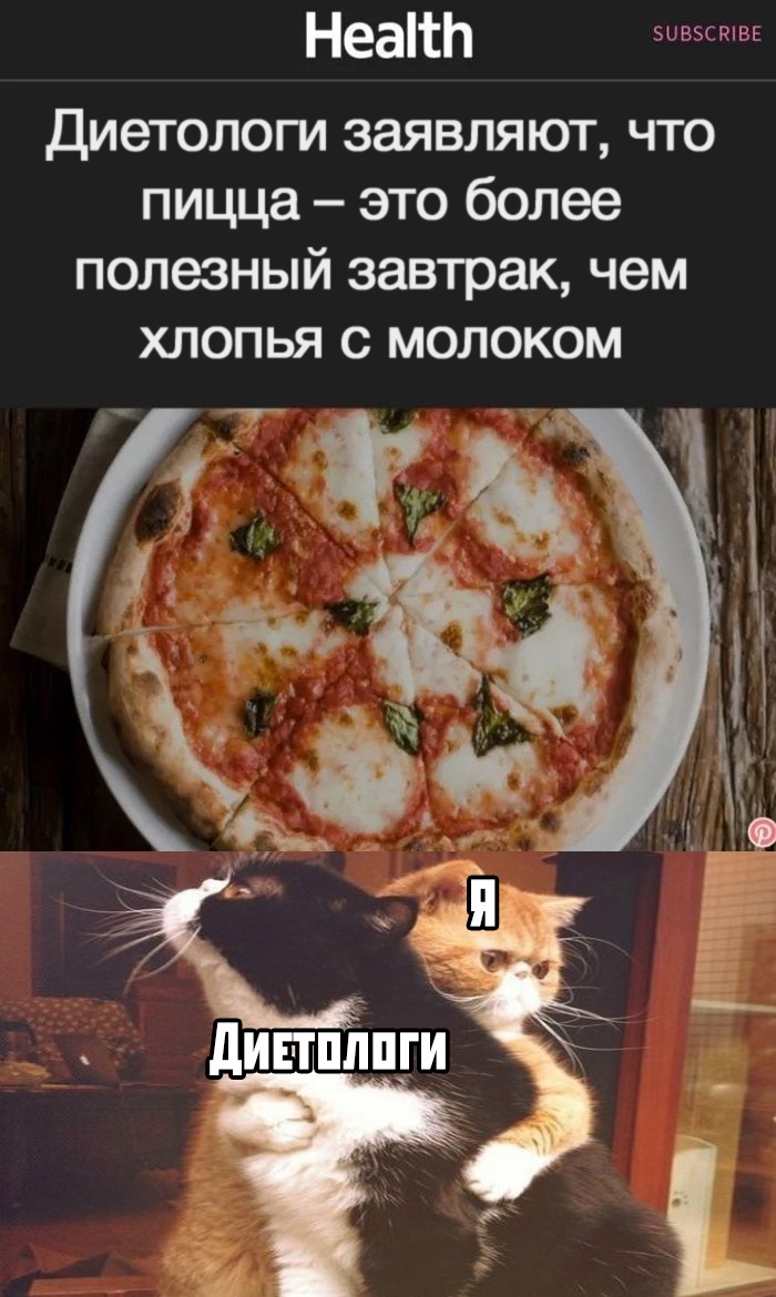 Gold words - Picture with text, cat, Pizza