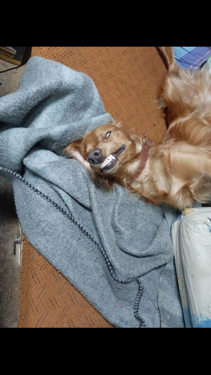 �� ����� ������� ������� � �� ����� �����.