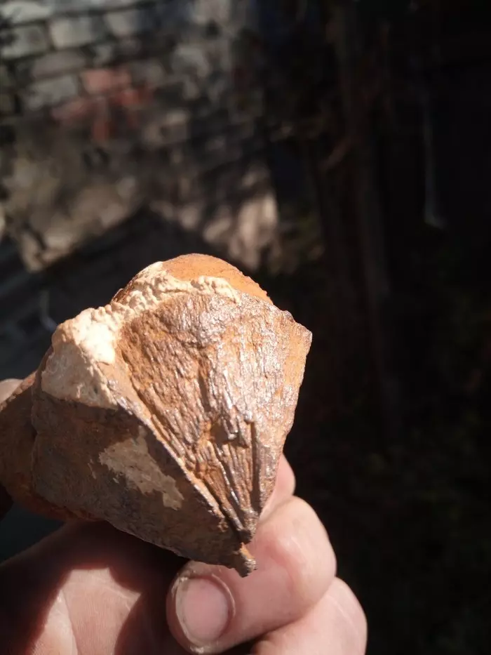 What it is? - Longpost, My, What's this?, Archeology