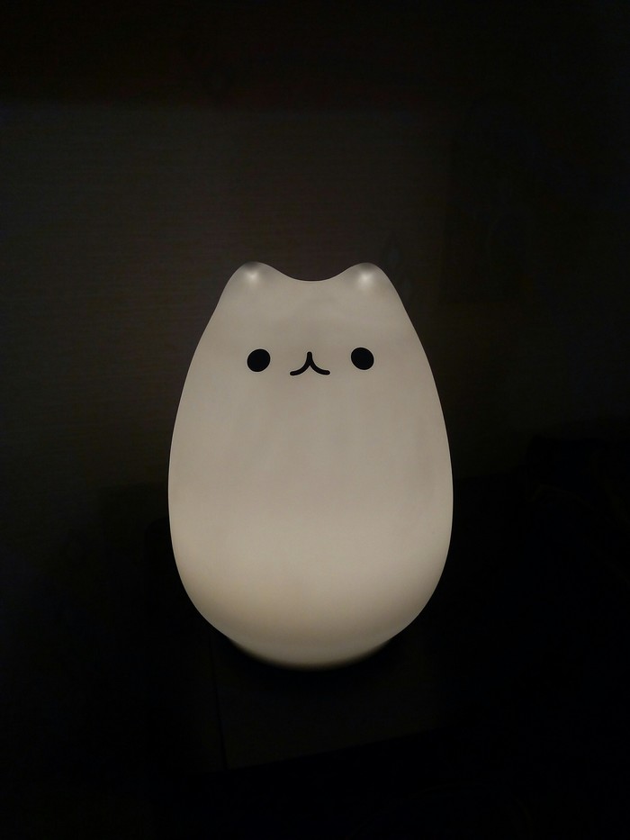 Real cat lamp :-) - My, Cat with lamp, Hardened, Observation, No rating