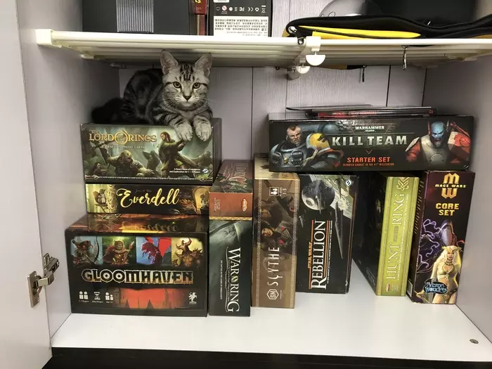 What are you looking at? - My, cat, Catomafia, Board games, Closet