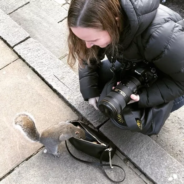 Are there nuts? - Squirrel, Сумка, Photographer, Milota