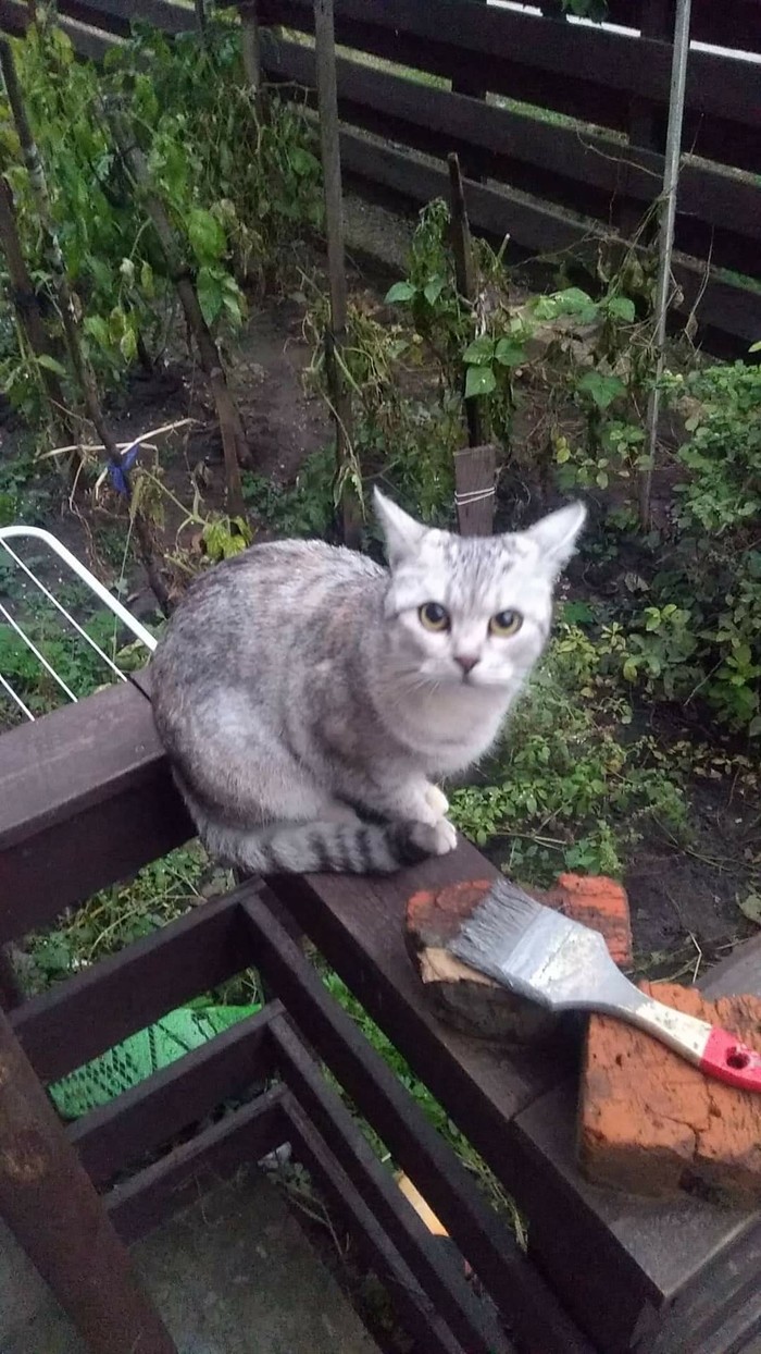 Луна не довольна.