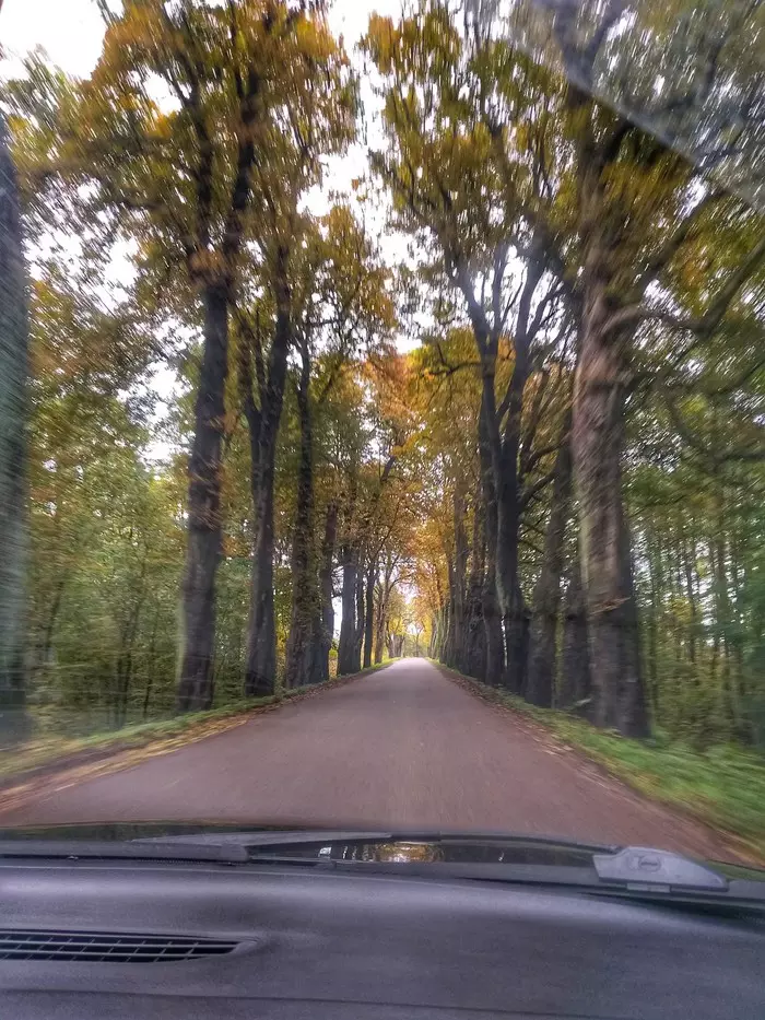 Road to autumn - My, Kaliningrad, Kaliningrad region, Autumn, Road