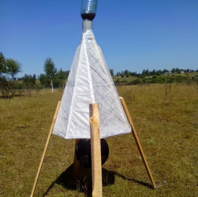 Traps for insects - My, , Trap, Deer, , Longpost, Deer, Fawn, Horsefly