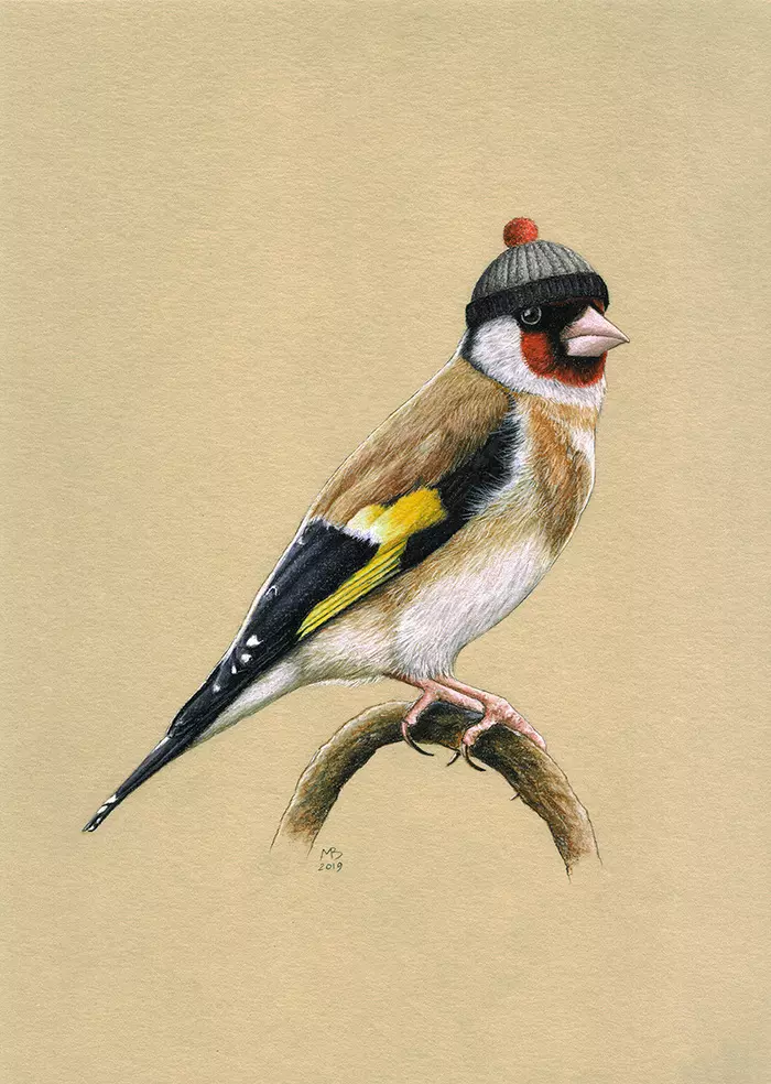 Goldfinch - My, Drawing, Pastel, Birds, Birds in hats, Art, Goldfinch, Animalistics, Realism