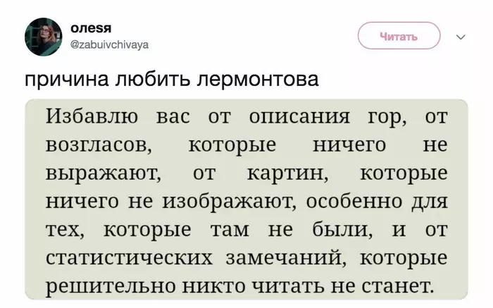 О писателях - Михаил Лермонтов, Литература, Книги