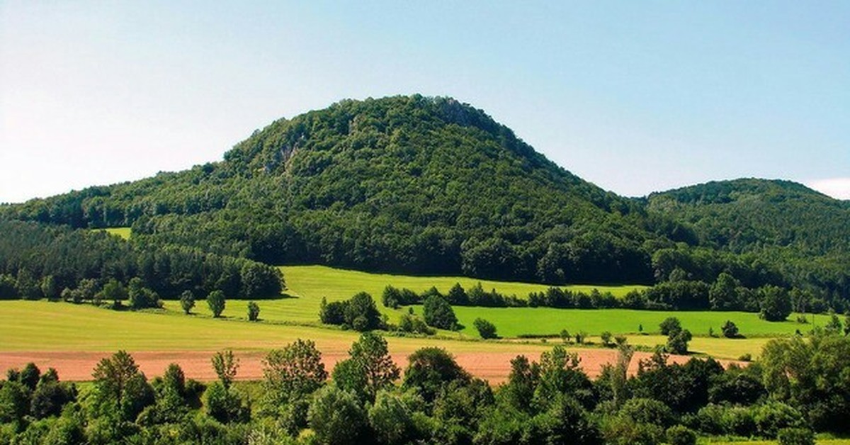 Венский лес. Венский лес Австрия. Венский лес Вена. Венский лес (Wienerwald). Заказник Венский лес.