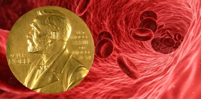 Nobel discovery will help solve the problem of tissue hypoxia in severe pathologies - Nobel Prize, The medicine, hypoxia, Tumor, Longpost