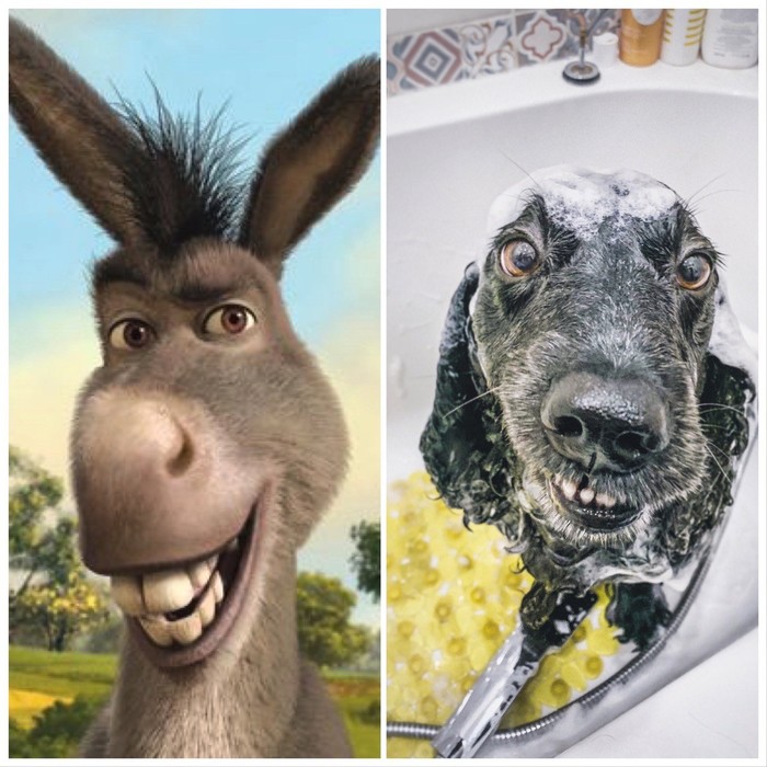 Просто оставлю это здесь