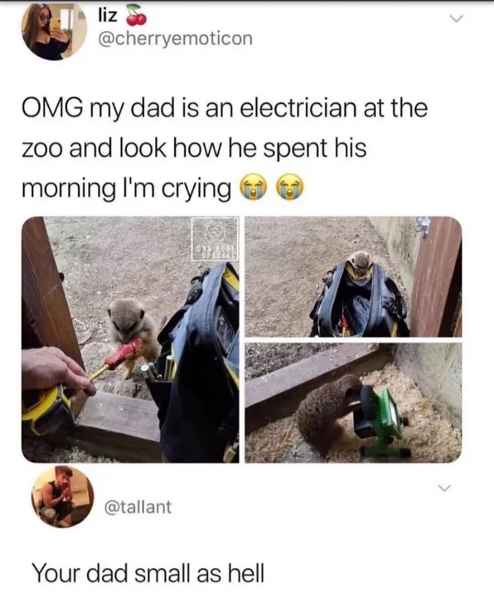 - My dad is an electrician at the zoo and look how he spent this morning. I'm just crying with emotion. - Picture with text, Zoo, Dad, Comments, Father