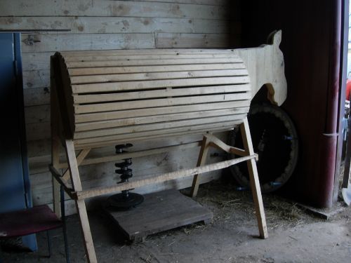 Лучшая лошадь