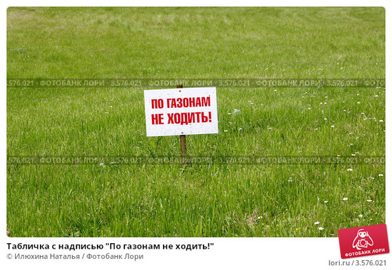 Plates for dogs - My, Longpost, Dog, Humor, Walking, Lawn, Табличка, Don't walk on lawns