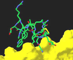 Support the honor of Russia in the project of computer search for a cure for cancer! - The science, Boinc, Medications, Crayfish, AIDS, Hiv, Project, Longpost