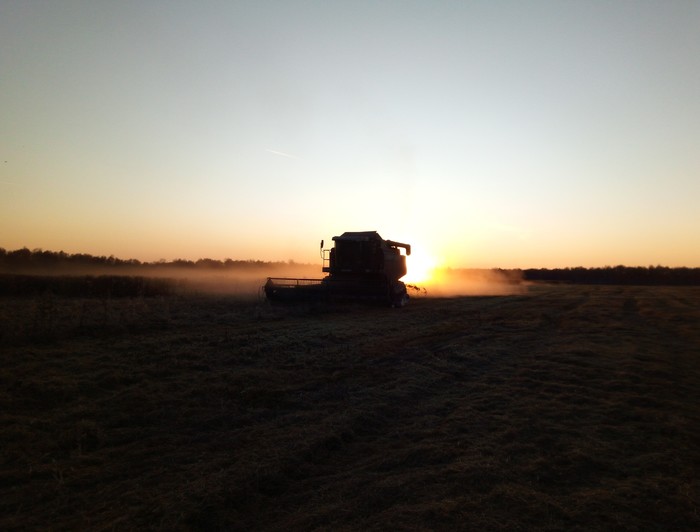 Sunset - My, Autumn, , Cleaning