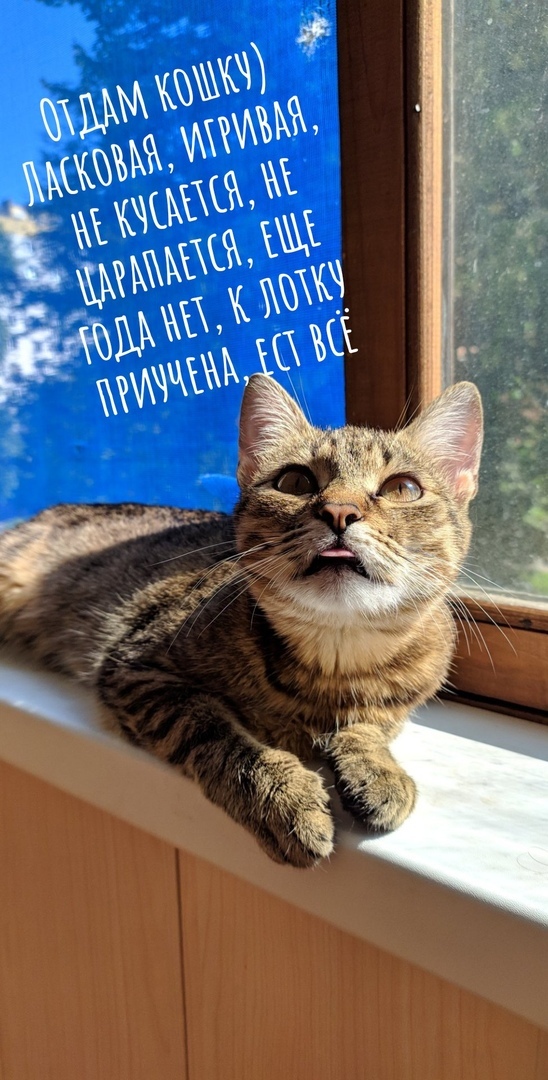   !  ,   , , ,  