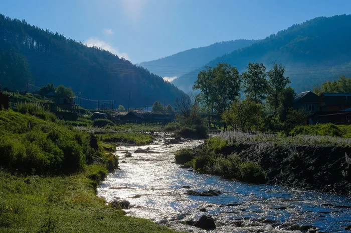 Узнезя горный алтай фото