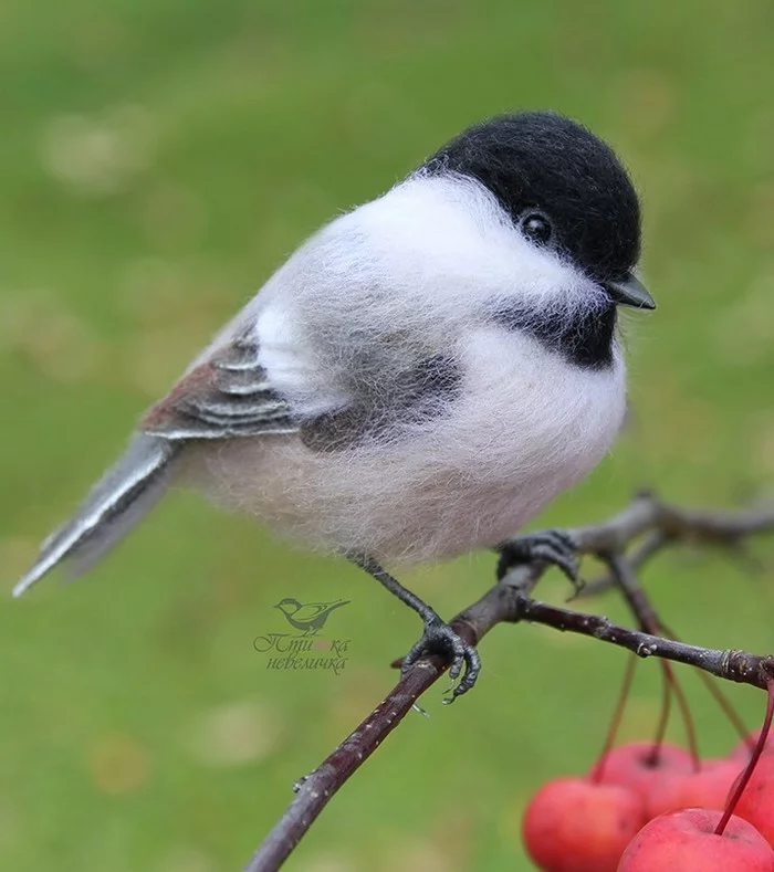 Brown-headed nut. Dry felting from wool. - My, Dry felting, Needlework without process, Birds, Needlework, Creation, Author's toy, Longpost