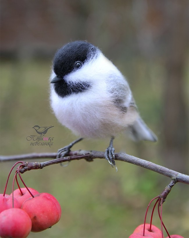 Brown-headed nut. Dry felting from wool. - My, Dry felting, Needlework without process, Birds, Needlework, Creation, Author's toy, Longpost