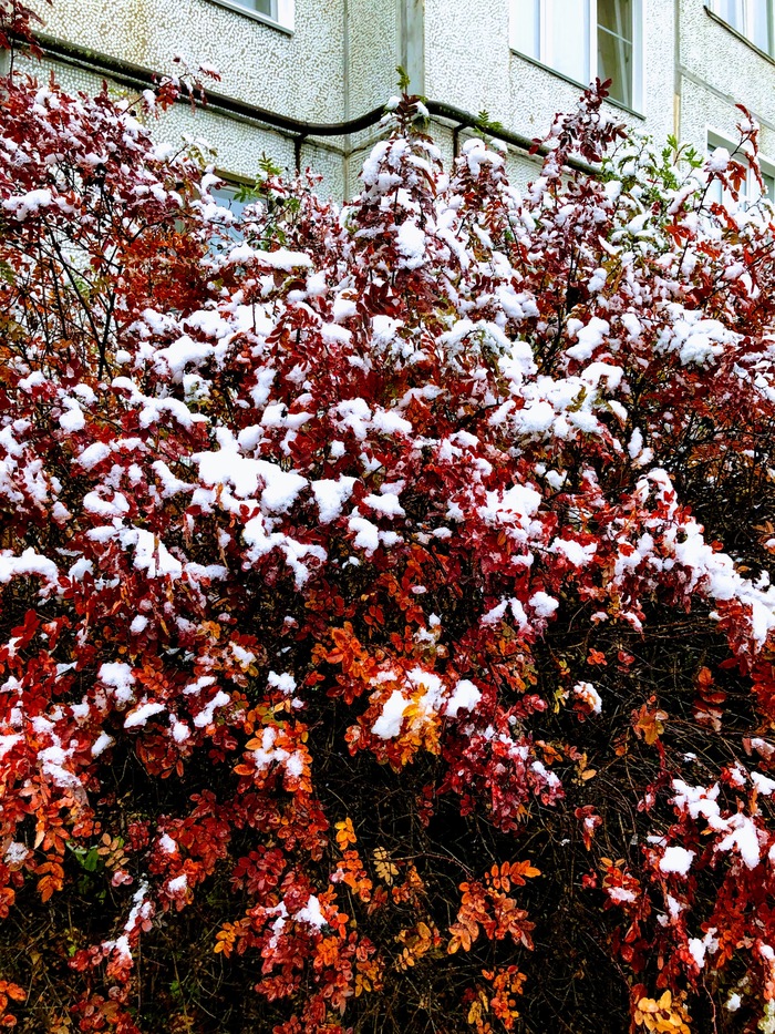 ��������� �������� �������� 6 ���� ������