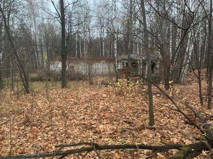 I found strange abandoned buildings in the forest, the purpose of which I do not know. - My, Stalk, , Earnings, Abandoned, Scrap metal, Longpost, Tourism