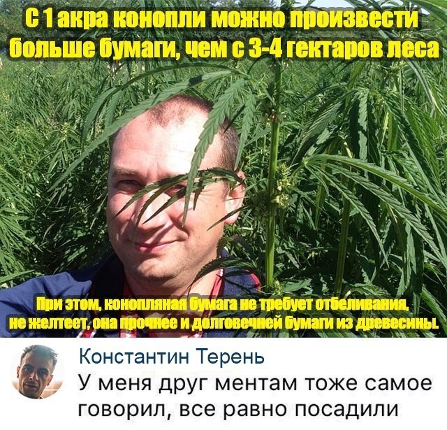 Конопляная бумага... | Пикабу