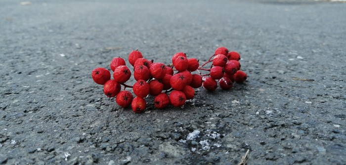 ���� �����