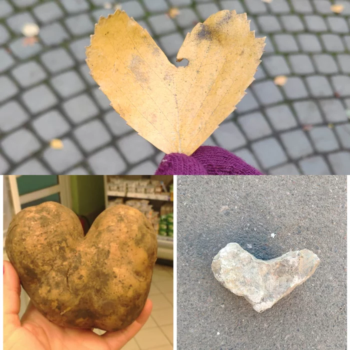 Signs of love from nature. - My, Love, Heart, A rock, Autumn