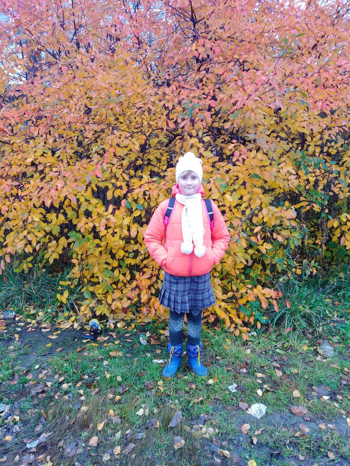 Осенний градиент