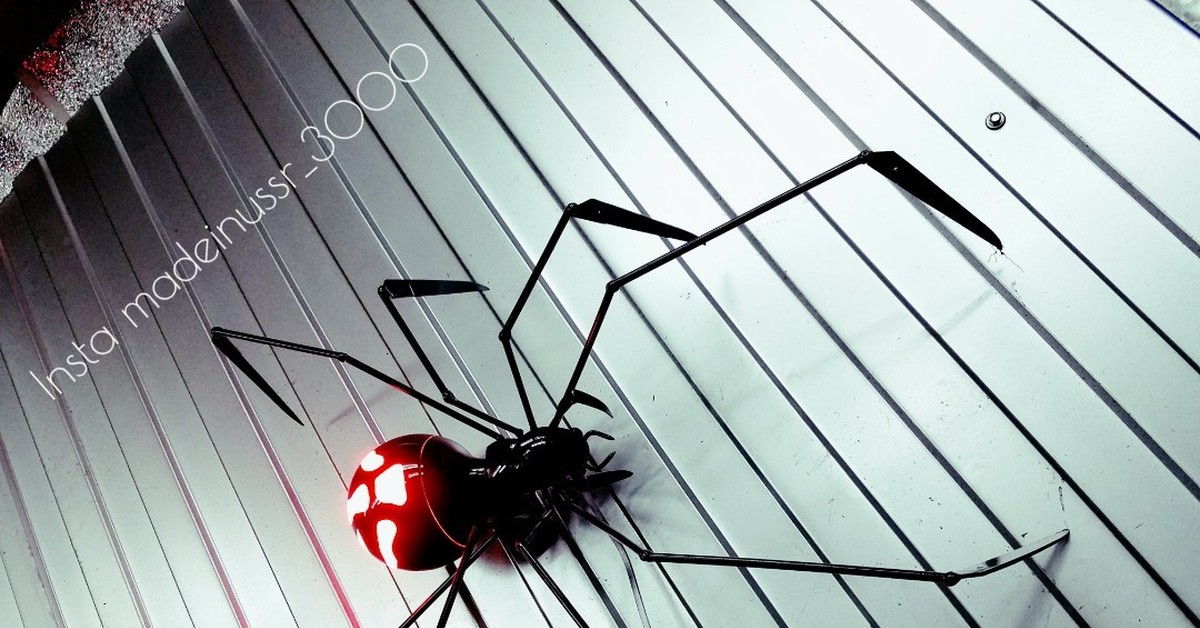 У какого паука черная паутина. Чёрная вдова паук паутина. Черная вдова паук паути. Чёрная вдова паук паутина черная. Черная вдова паук и ее паутина.