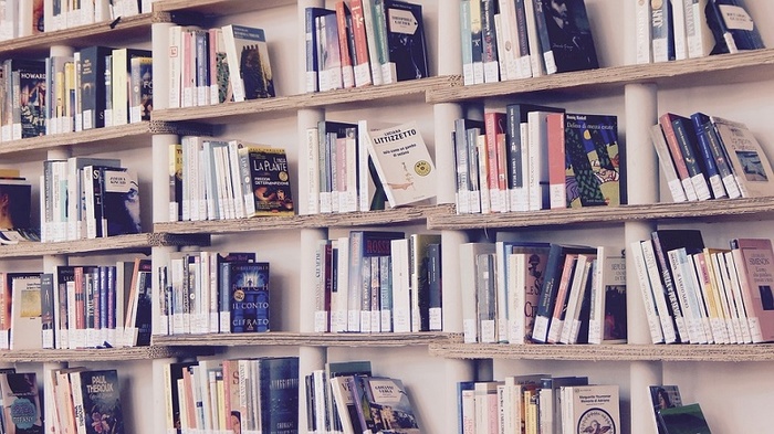 Что делать, если в квартире скопилось слишком много книг? Квартира, Дом, Книги, Полка, Сервант, Коробка, Библиотека, Длиннопост