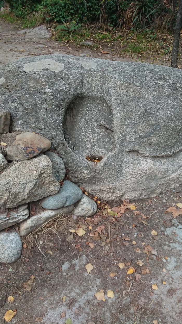 I stumbled and... here - Facial imprint, A rock, Saitama, Longpost