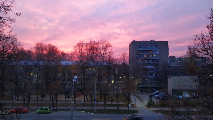 Сакура в Рязани нынче поздно зацвела.